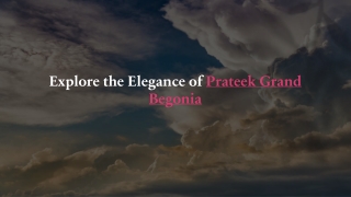 Explore the Elegance of Prateek Grand Begonia_
