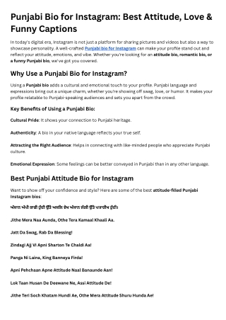 punjabi bio for instagram best attitude love
