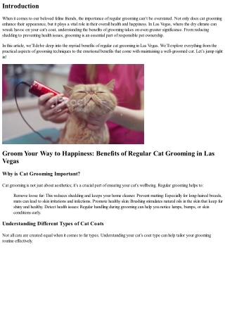 Groom Your Way to Happiness: Benefits of Regular Cat Grooming in Las Vegas