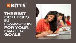the best colleges in brampton for your career