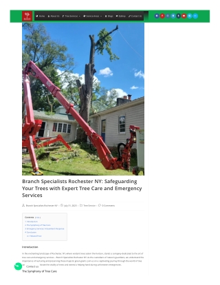 Branch Specialists Rochester NY Safeguarding Your Trees with Expert Tree Care and Emergency Services