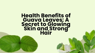 Health Benefits of Guava Leaves A Secret to Glowing Skin and Strong Hair
