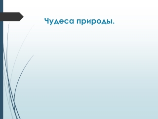 Чудеса природы.......