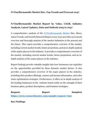 N-Vinylformamide Market