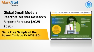 global small modular reactors market research