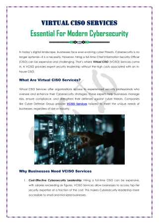 virtual ciso services virtual ciso services