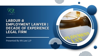 Labour & Employment Lawyer | Decade of Experience Legal Firm