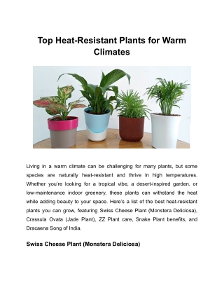 Top Heat-Resistant Plants for Warm Climates
