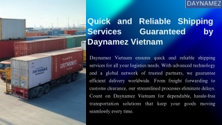 Your Shipping Partner for Speed & Reliability – Daynamez Vietnam