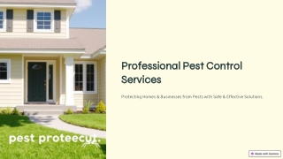 Expert Pest Control Services for a Safe and Healthy Environment