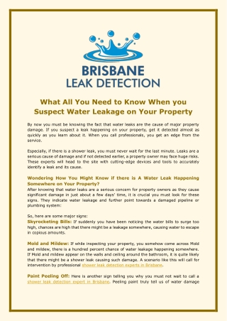 What All You Need to Know When you Suspect Water Leakage on Your Property