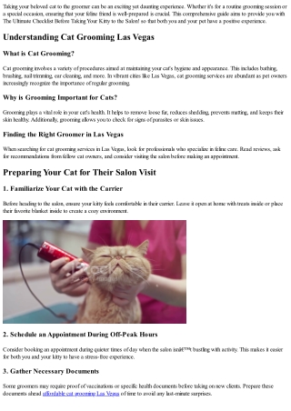 The Ultimate Checklist Before Taking Your Kitty to the Salon!