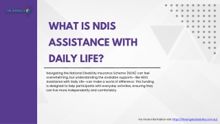 what is ndis assistance with daily life