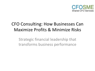 cfo consulting how businesses can maximize profits minimize risks