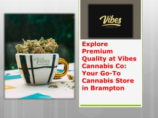 Explore Premium Quality at Vibes Cannabis Co Your Go-To Cannabis Store in Brampton