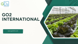 The Role of a Waste Water Treatment Company in Ensuring Clean and Safe Water