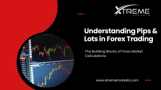 "What Are Pips and Lots in Forex? A Clear Explanation for Traders"
