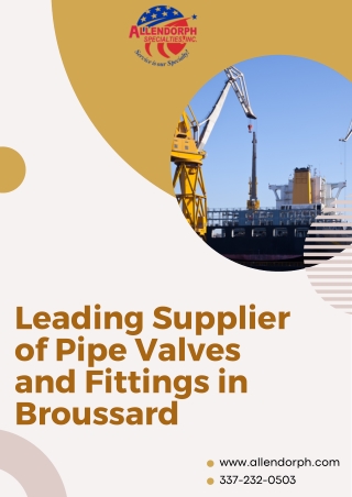 Leading Supplier of Pipe Valves and Fittings in Broussard