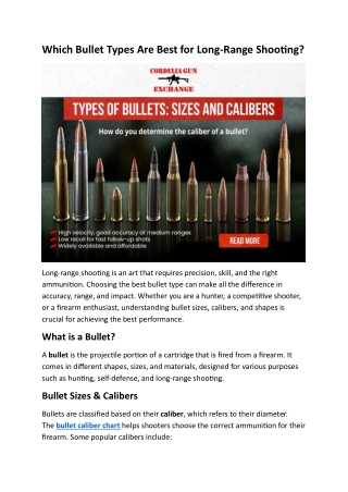 Which Bullet Types Are Best for Long-Range Shooting