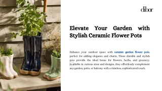 Elevate-Your-Garden-with-Stylish-Ceramic-Flower-Pots.