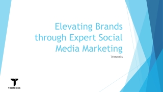 Elevating Brands through Expert Social Media Marketing