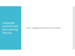 language learners and the learning process