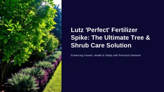 lutz perfect fertilizer spike the ultimate tree