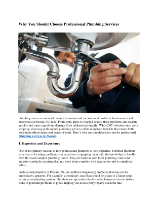 Why You Should Choose Professional Plumbing Services
