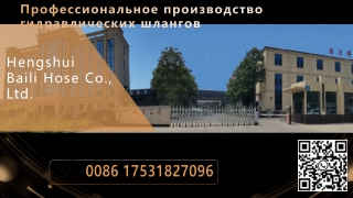 рвд RVD--Baili