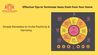 Effective Tips to Terminate Vastu Dosh from Your Home