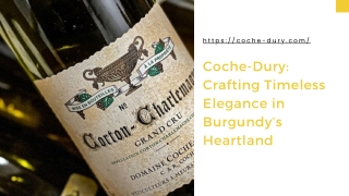 Coche-Dury Crafting Timeless Elegance in Burgundy’s Heartland