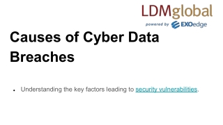 Causes of Cyber Data Breaches