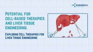 Potential for cell based therapies and liver tissue engineering