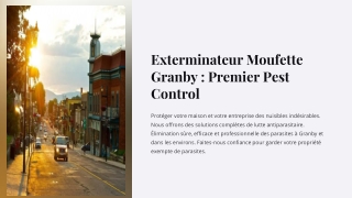 exterminateur moufette granby premier pest control