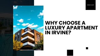 Why Choose a Luxury Apartment in Irvine - World Class