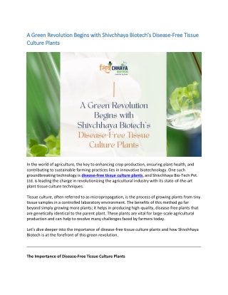 A Green Revolution Begins with Shivchhaya Biotech’s Disease-Free Tissue Culture Plants