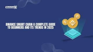 binance smart chain a complete guide to beginners