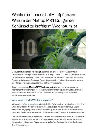 Wachstumsphase bei Hanfpflanzen
