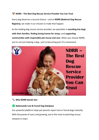 NDRR – The Best Dog Rescue Service Provider You Can Trust