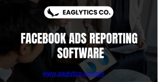 Boost Ad Performance with Powerful Facebook Ads Reporting Software | Eaglytics