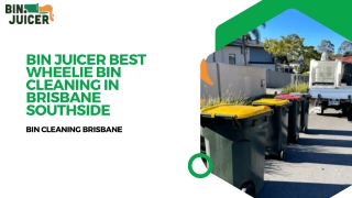 Brisbane eco-friendly bin cleaning