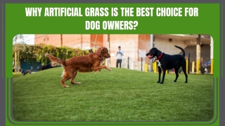 why artificial grass is the best choice