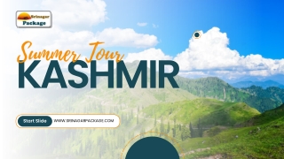 Neha's PPT