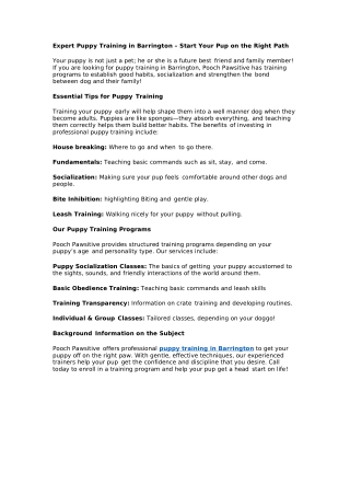 Expert Puppy Training in Barrington – Start Your Pup on the Right Path