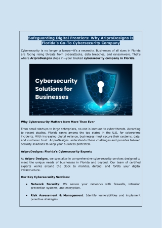 Top Cybersecurity Company in Florida | AriproDesigns
