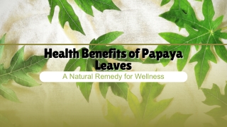 Health Benefits of Papaya Leaves A Natural Remedy for Wellness