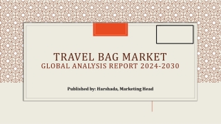 Travel Bag Market Share, Trends and Future Trends| 2024-2030