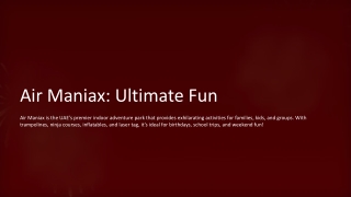 Air Maniax_ Ultimate Fun