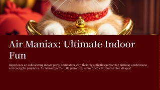 Air Maniax_ Ultimate Indoor Fun