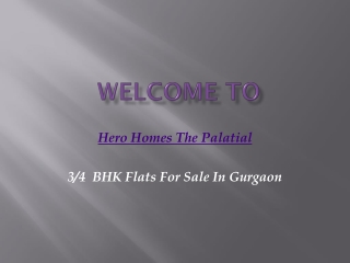 welcome to